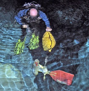 It took a lift bag just to move the RCM units.