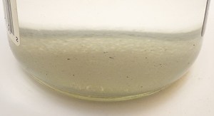 I finally picked up a cheap ultrasonic cleaner, and used it on a batch of 12 of these RTC boards with some 90% Isopropyl alcohol. 