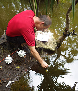 Did I mention how much I dislike tábanos?