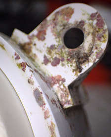 The Oring seats were still clear. I guess PVC tastes better than EPDM?