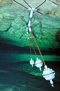 The new "parallel" anchor rig make the differences between the instruments obvious...