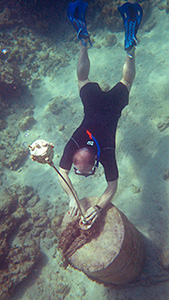 DIY Cave Pearl data loggers based on Arduino Microcontrollers