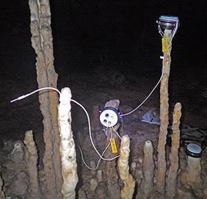 The First Masons hygrometer sitting in a cluster of drip sensors