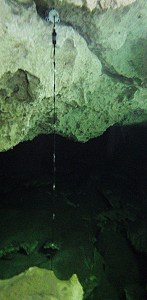 A typical DS18b20 temperature string deployment