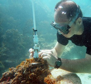 Securing the backup bungie cord to the anchor.